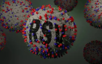 RSV Viral Infection In Newborn And Monoclonal Antibodies To Prevent it